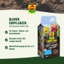 Compo Qualitäts-Blumenerde ca. 50 Prozent weniger Gewicht 1 x 60 l_3
