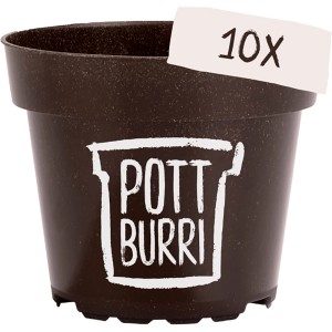Pottburri Anzuchttopf 10er Set, braun, aus Sonnenblumenschalen, für Pflanzenanzucht.