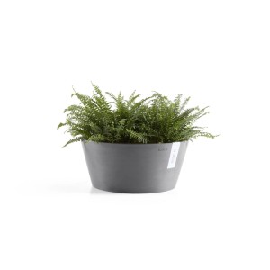 Runde, graue Ecopots Pflanzschale Frankfurt (Ø 31 cm) mit grüner Pflanze.
