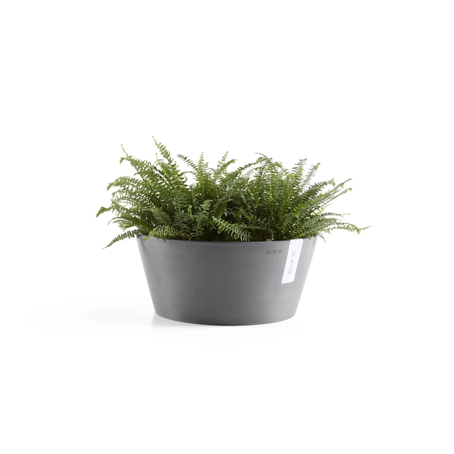 Runde, graue Ecopots Pflanzschale Frankfurt (Ø 31 cm) mit grüner Pflanze.