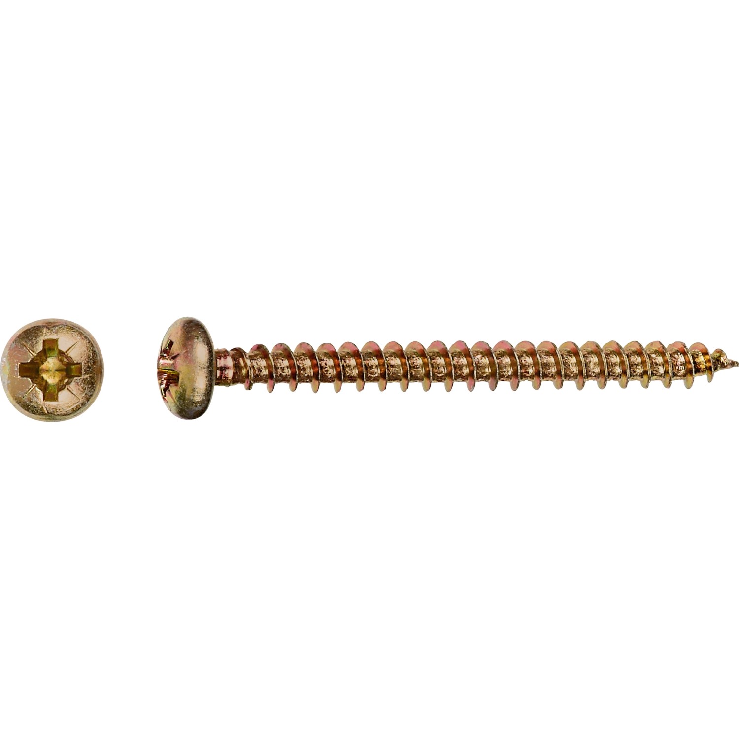 LUX Halbrundkopf Universalschraube PZ-Antrieb Ø 5 mm x 50 mm 10 Stück