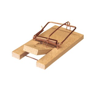 Swissinno Holzmausefalle, klassische Schlagfalle für den Garten.