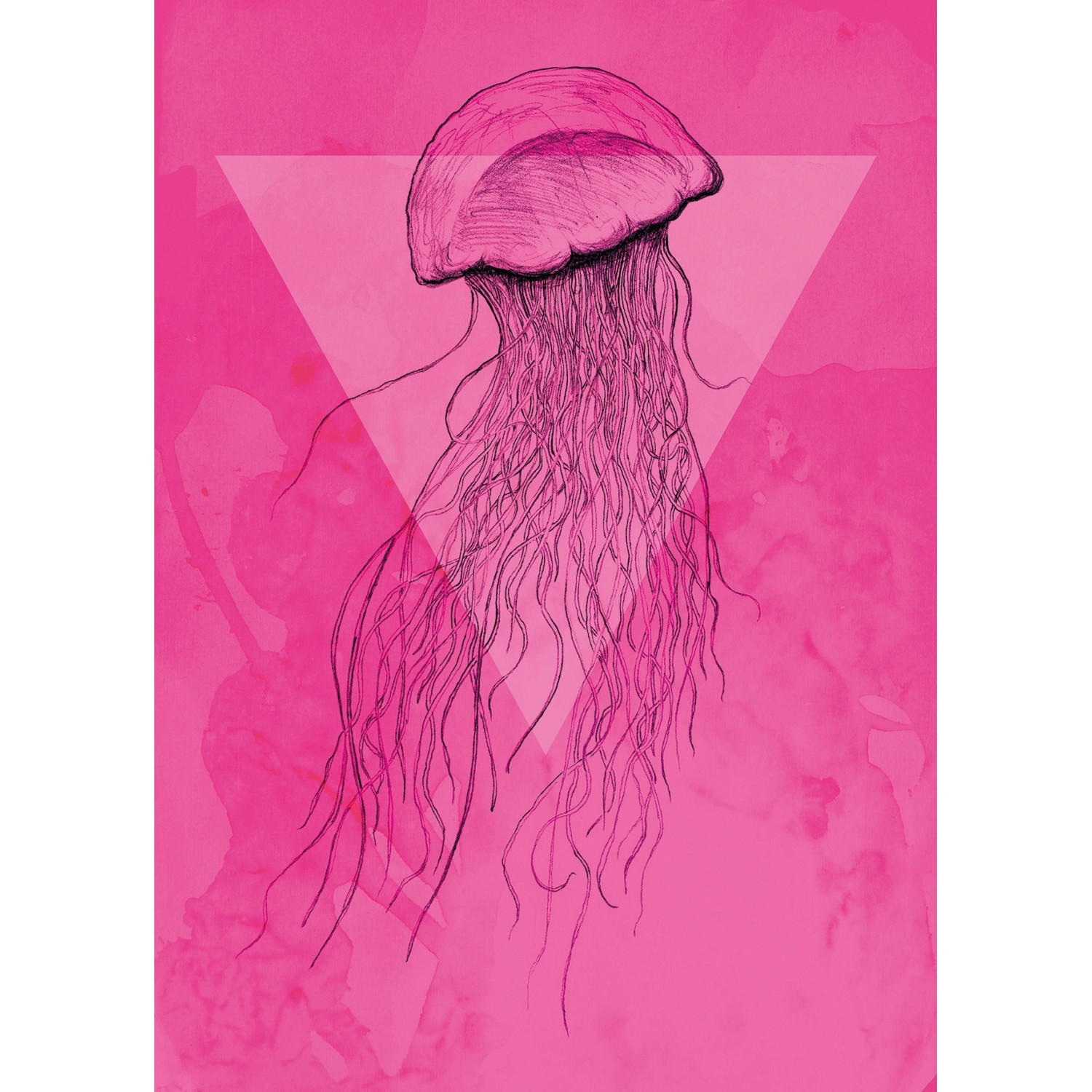 Komar Wandbild Jellyfish Pink 50 x 70 cm