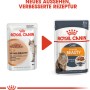 Royal Canin Hair & Skin Care Katzennassfutter in Soße, 85g Packung für gesundes Fell.