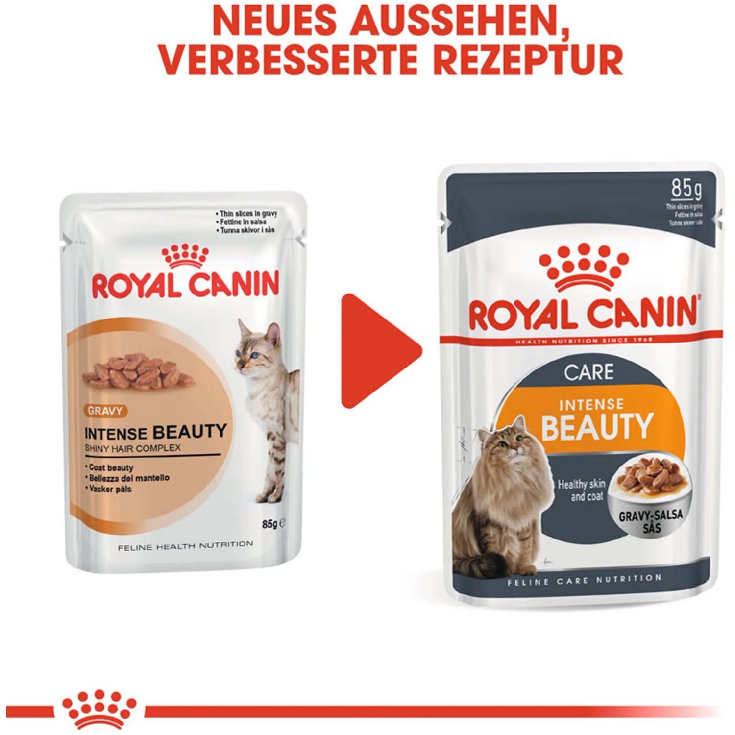 Royal Canin Hair & Skin Care Katzennassfutter in Soße, 85g Packung für gesundes Fell.