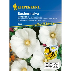 Kiepenkerl Bechermalve Mont Blanc Weiß Blumensamen Packung mit weißen Blüten.