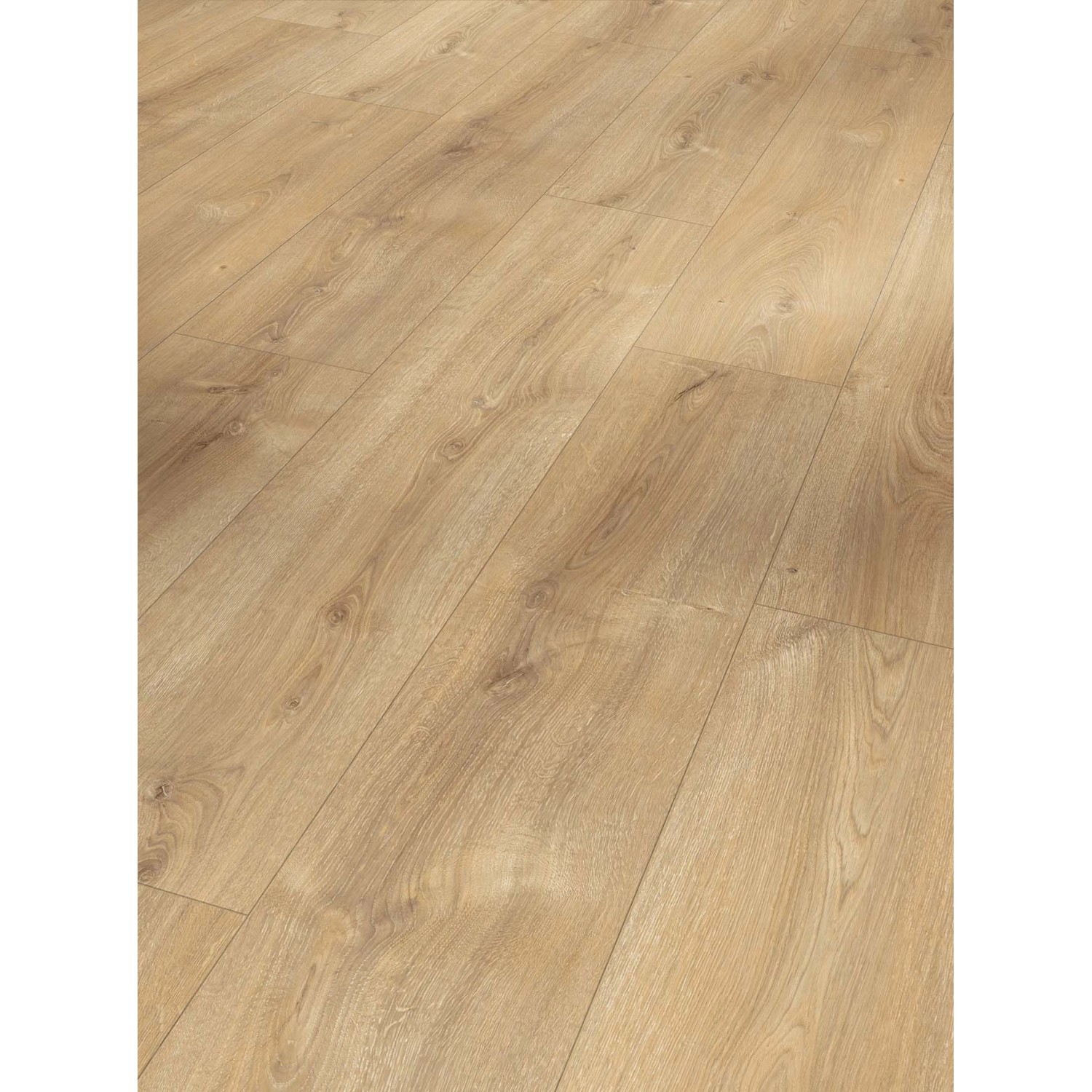 Parador Laminat Basic 600 Eiche Nova Gekälkt Naturstruktur günstig online kaufen