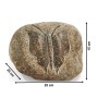 Kobolo Dekostein BUTTERFLY aus Naturstein, handbearbeitet mit Schmetterlingsgravur. Gartendeko für Beet und Terrasse.
