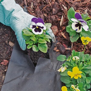 Schwarzes Windhager Unkrautvlies 30 g/m² unter Pflanze im Gartenbeet.