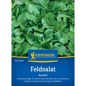 Kiepenkerl Feldsalat Accent: Dunkelgrüne Blätter der traditionellen Feldsalat-Sorte.