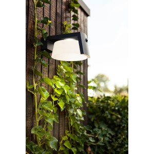 Lutec Solar-LED-Wandleuchte Moon, anthrazitfarben, an Holzwand mit Efeu.