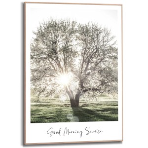 Gerahmtes Bild: Sonne durch Baumkrone im Grünen, 70x50 cm. Natur-Wandbild für Schlafzimmer.