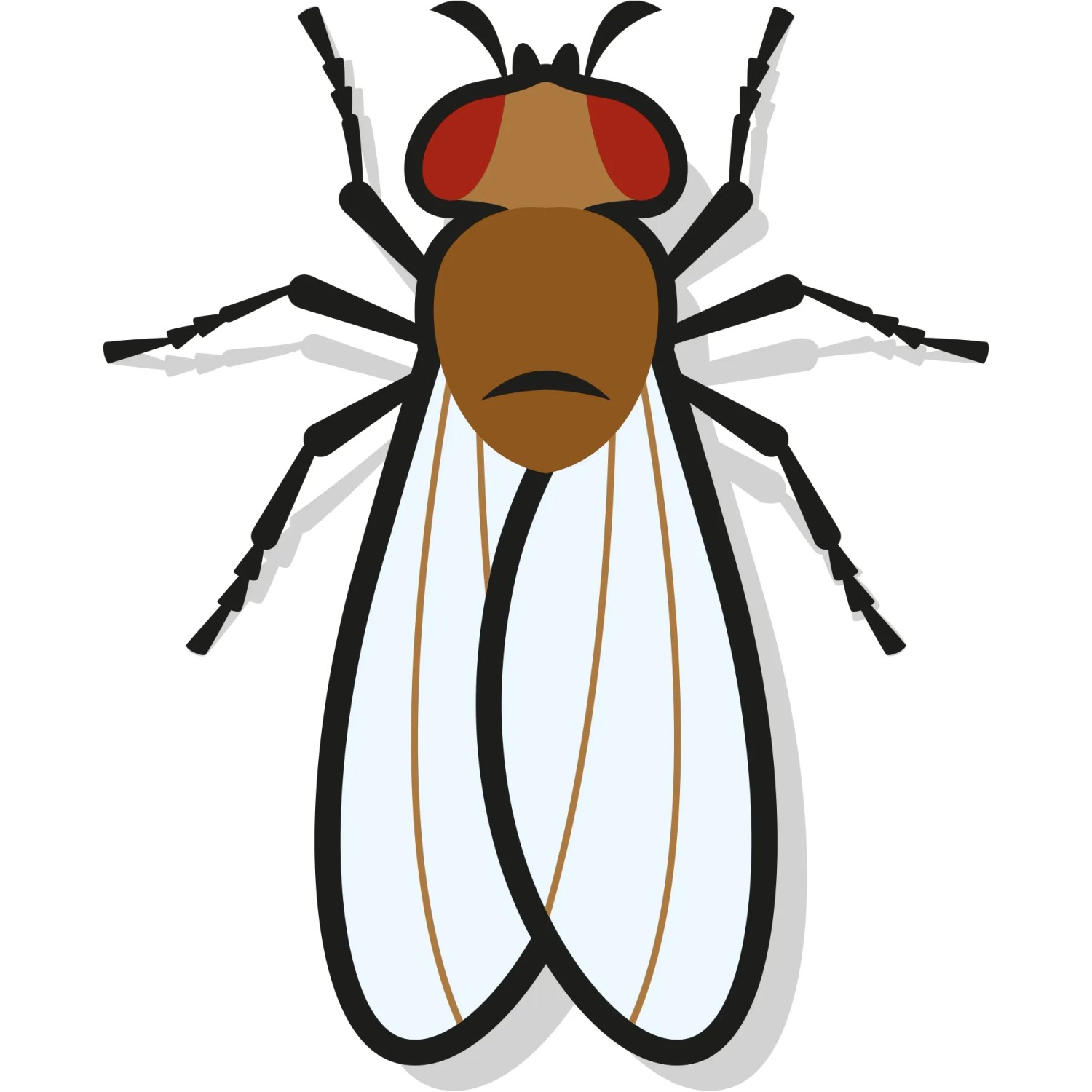 Grafik einer Fruchtfliege, Schädling für Küche & Haushalt. Nexa Lotte Fliegenfalle.