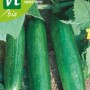 Salatgurke 'Marketmore' Bio Saatgut ca. 1 g Ertragreich