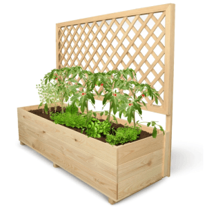 DELUKE Pflanzkasten mit Rankgitter THIO mit Vlies Handschuhe Hochbeet mit Rankhilfe Blumenkasten für Kletterpflanzen 128cm Breit