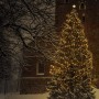 Beleuchteter Weihnachtsbaum mit Stern und Lichterkette vor einem Gebäude im Schnee.