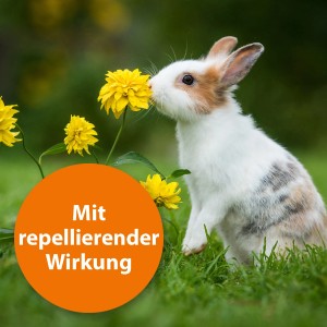 Kaninchen schnuppert an gelber Blume. Ardap Spot-On Kleintierpflege für Schutz vor Zecken und Flöhen.