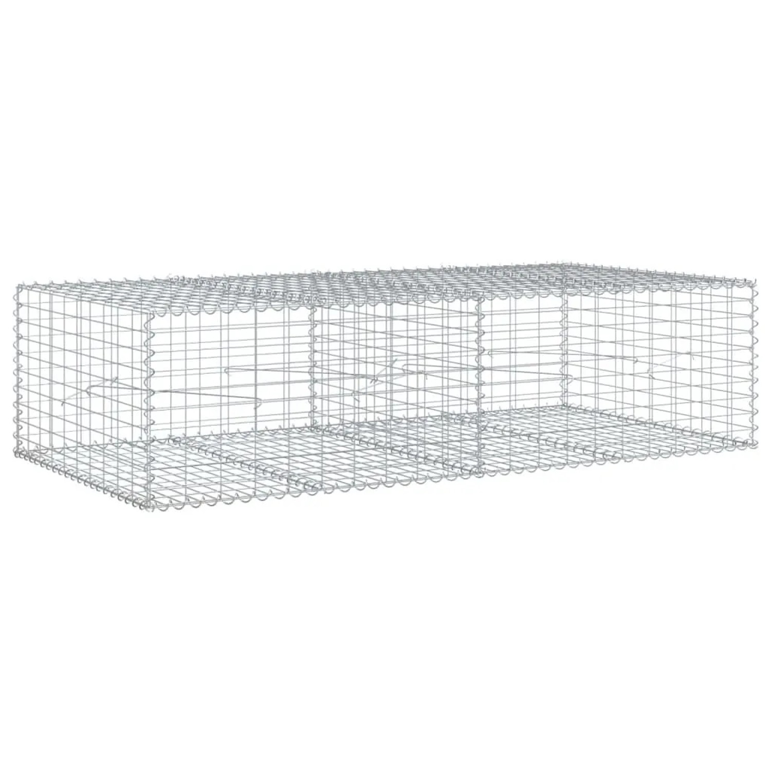 vidaXL Gabione mit Deckel 200x100x50 cm Verzinktes Eisen 3295179