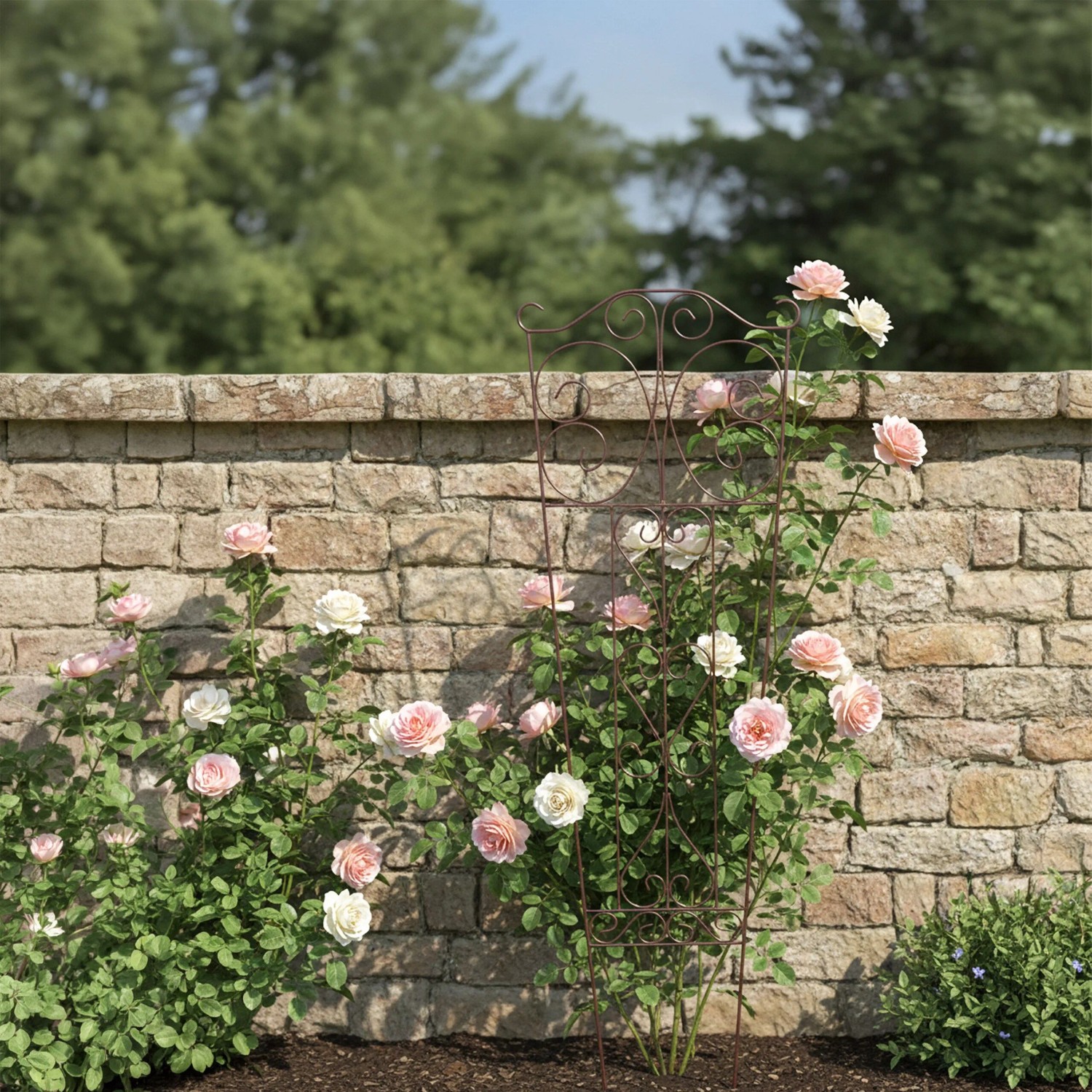 Braunes wetterfestes Stahl-Rankgitter mit geschwungenen Ornamenten, stützt rosa Rosen vor einer Steinmauer im Garten.