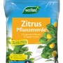 Sack Westland Zitruspflanzenerde 8 l für gesunde Zitruspflanzen und üppige Früchte.