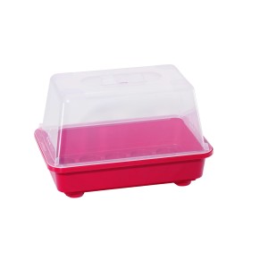 Romberg Gewächshaus S Color Berry, Mini-Gewächshaus für Pflanzenanzucht mit transparentem Deckel.