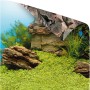 Juwel Aquarium-Rückwand Poster 1: Unterwasserlandschaft und Felsmotiv, 100x50 cm.