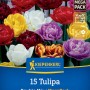 Kiepenkerl Blumenzwiebel Mega-Pack Gefüllte Tulpen Mischung 15 Stück