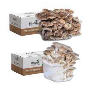 Hawlik Pilzbrut Pilzzuchtset-Bundle mit Bio Shiitake und Bio Kräuterseitling Pilzkultur für Pilzzucht Zuhause