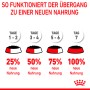 Fütterungsempfehlung: Umstellung auf Royal Canin Kitten Nassfutter in 7 Tagen. Grafische Darstellung.