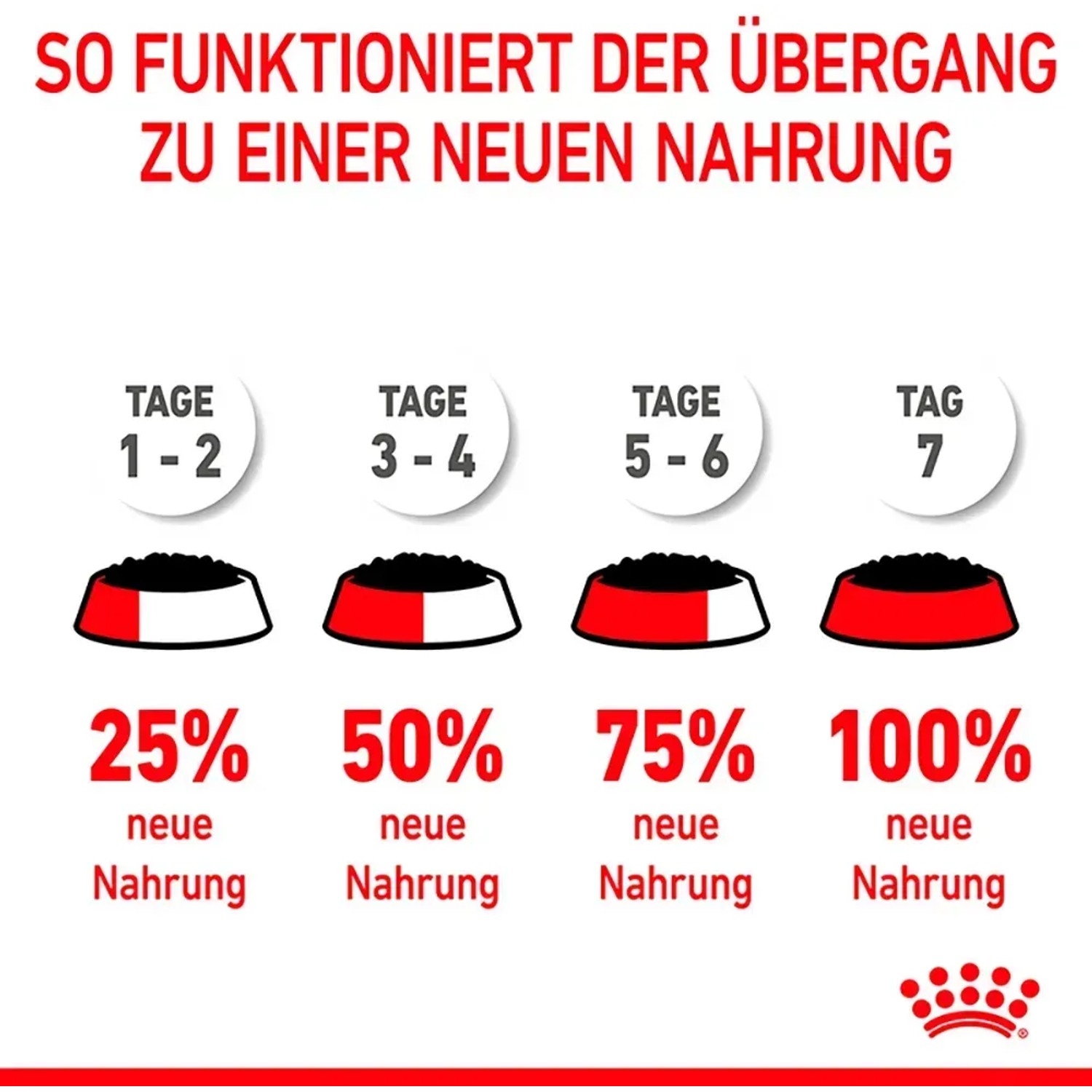 Fütterungsempfehlung: Umstellung auf Royal Canin Kitten Nassfutter in 7 Tagen. Grafische Darstellung.