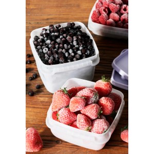 5er-Set SmartStore Gefrierdosen Frost 0,5 l Lavendel mit gefrorenen Beeren und Erdbeeren.