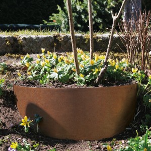Bellissa Hangpflanzschale Collina Corten als moderne Hangbefestigung mit gelben Blumen.
