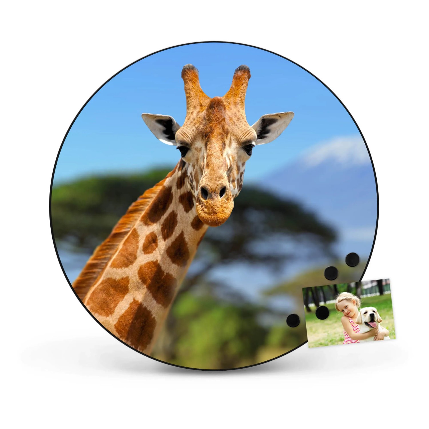 Runde, schwarze Magnettafel mit Giraffen-Motiv. Wanddekoration für Notizen und Fotos.