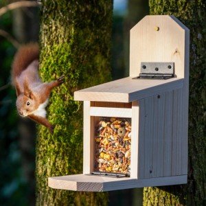 Hölzerne Eichhörnchen Futterstation am Baumstamm mit Futter gefüllt. Ein Eichhörnchen nähert sich. Ideal für den Garten.