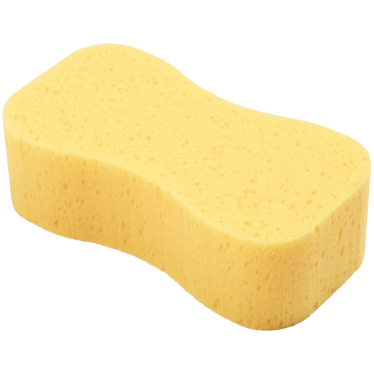 Autoschwamm Knochenform