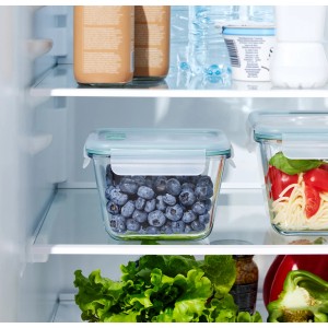 Rotho Kühlschrankdose Nala mit Blaubeeren im Kühlschrank.