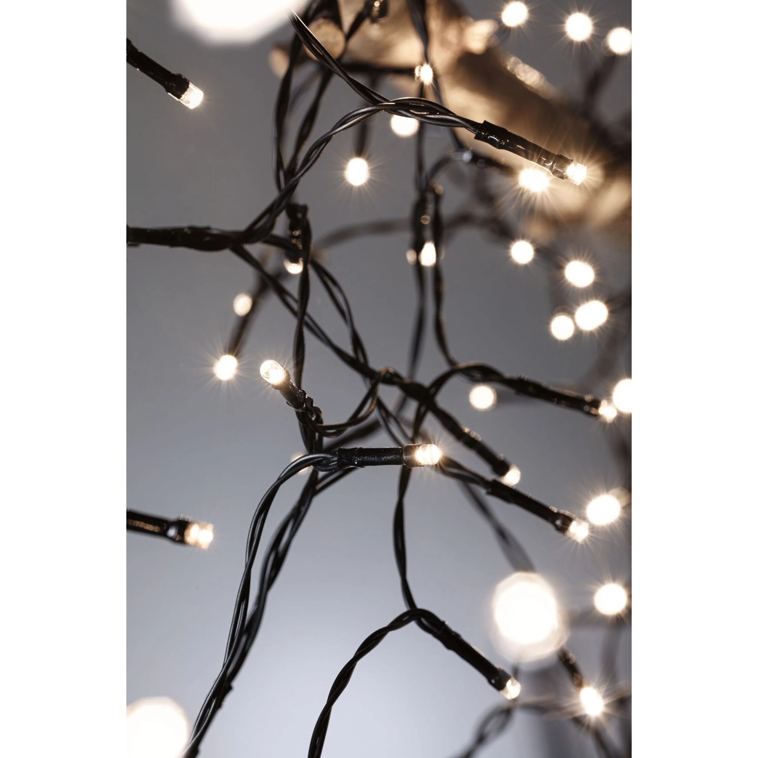 Nahaufnahme der Paulmann LED-Lichterkette Yuna Plug & Shine. Viele warmweiße LEDs leuchten auf schwarzem Kabel im Dunkeln.