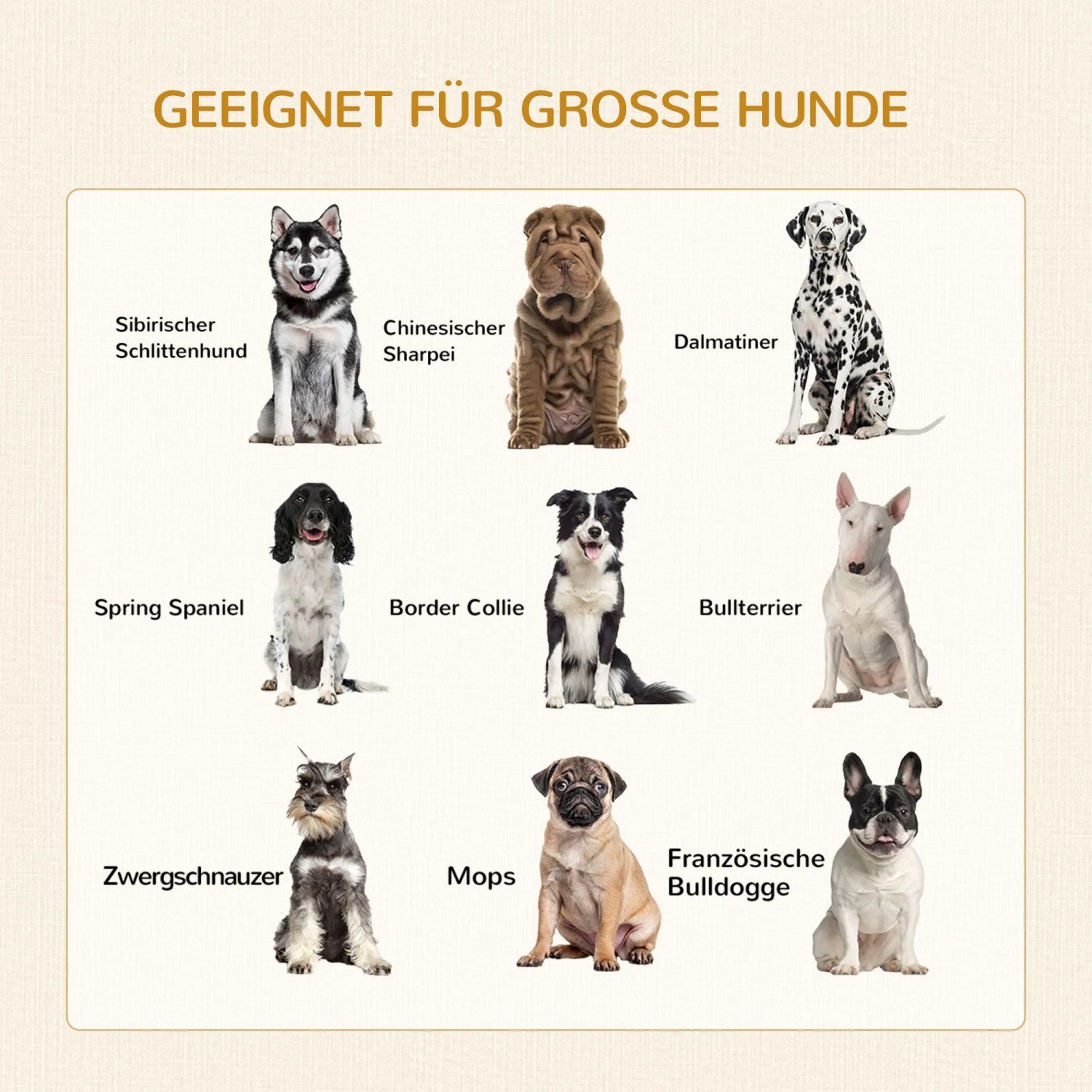 Neun Hunderassen (Husky, Dalmatiner, Mops, Bulldogge) mit Text "Geeignet für große Hunde" für PawHut Hundekäfig.