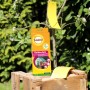Solabiol Gelbtafeln 7 Stück zur Schädlingsbekämpfung im Garten, auf Holzpalette und an Baum hängend.