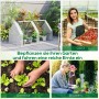 Outsunny Gewächshaus mit Rollfenster, PE-Folie, Stahl, weiß. Ideal für Gemüse-, Obst- und Blumenanbau.