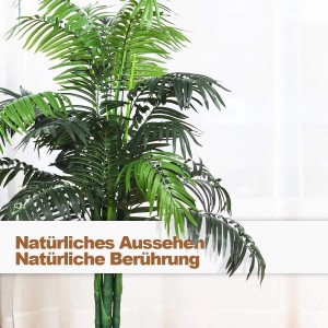 aucuba sulphurea marginata Gold Dust Aucuba for Sale