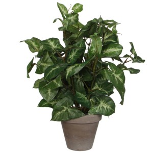 Grüne Mica Decorations Kunstpflanze Syngonium im Topf, 35cm hoch.