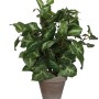 Grüne Mica Decorations Kunstpflanze Syngonium im Topf, 35cm hoch.