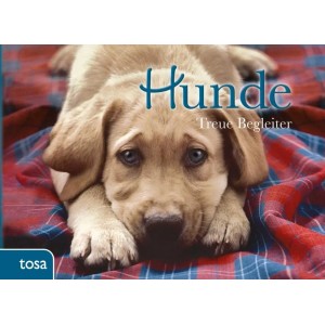 Hunde