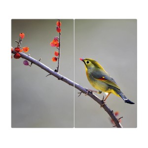 Banjado 2-teilige Herdabdeckplatte aus Glas mit Herbstvogel-Motiv, je 30x52 cm.