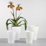 Scheurich Orchideengefäße 608 Panna, verschiedene Größen. Keramiktöpfe in Weiß für Orchideen.
