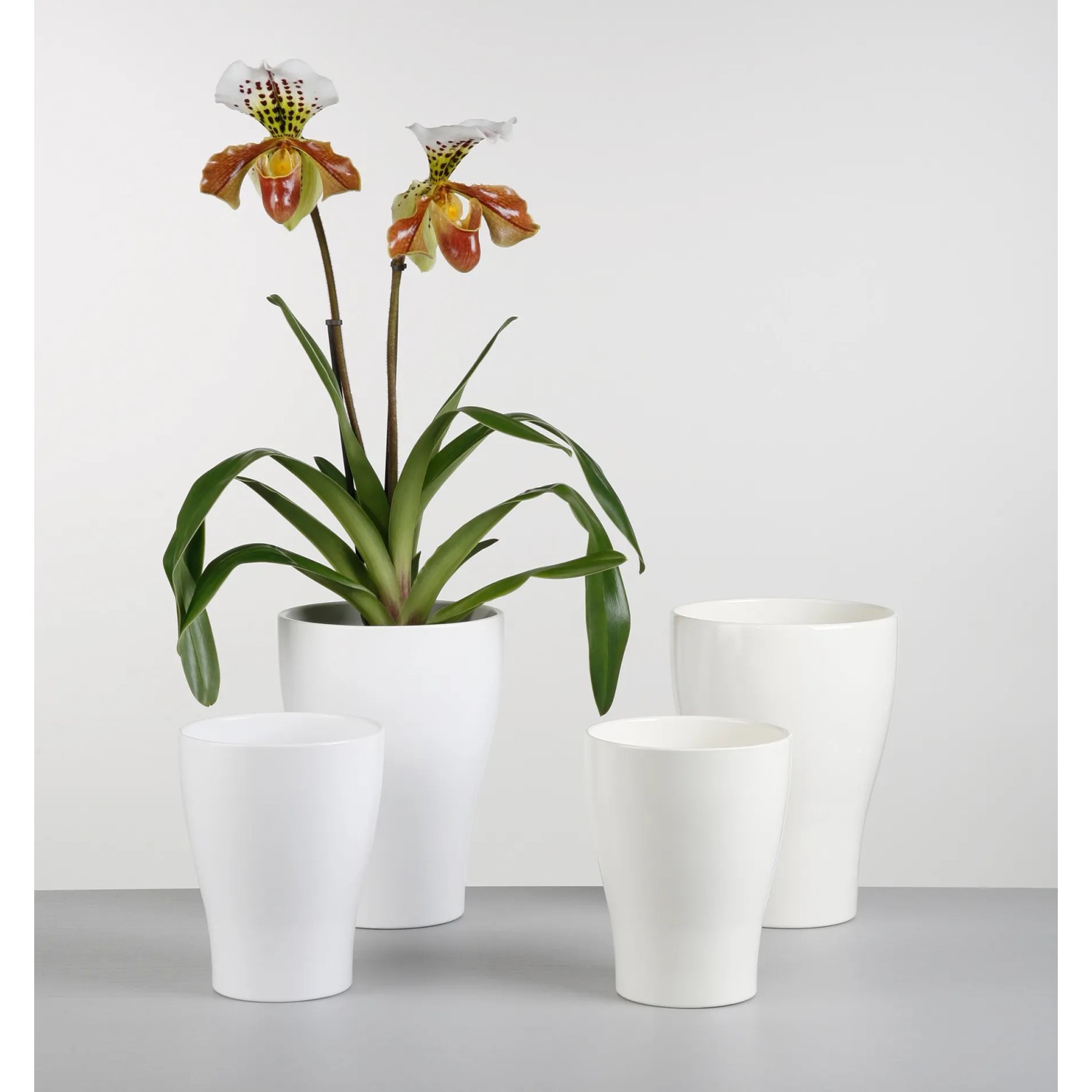 Scheurich Orchideengefäße 608 Panna, verschiedene Größen. Keramiktöpfe in Weiß für Orchideen.