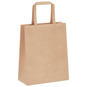 vidaXL Papiertragetaschen 50 Stk mit Henkeln Braun 18x8x22 cm 4101796