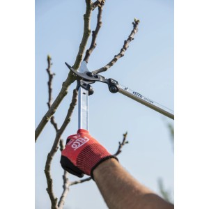 Felco Astschere 211-40 beim Beschneiden eines Astes, ziehender Schneidkopf.