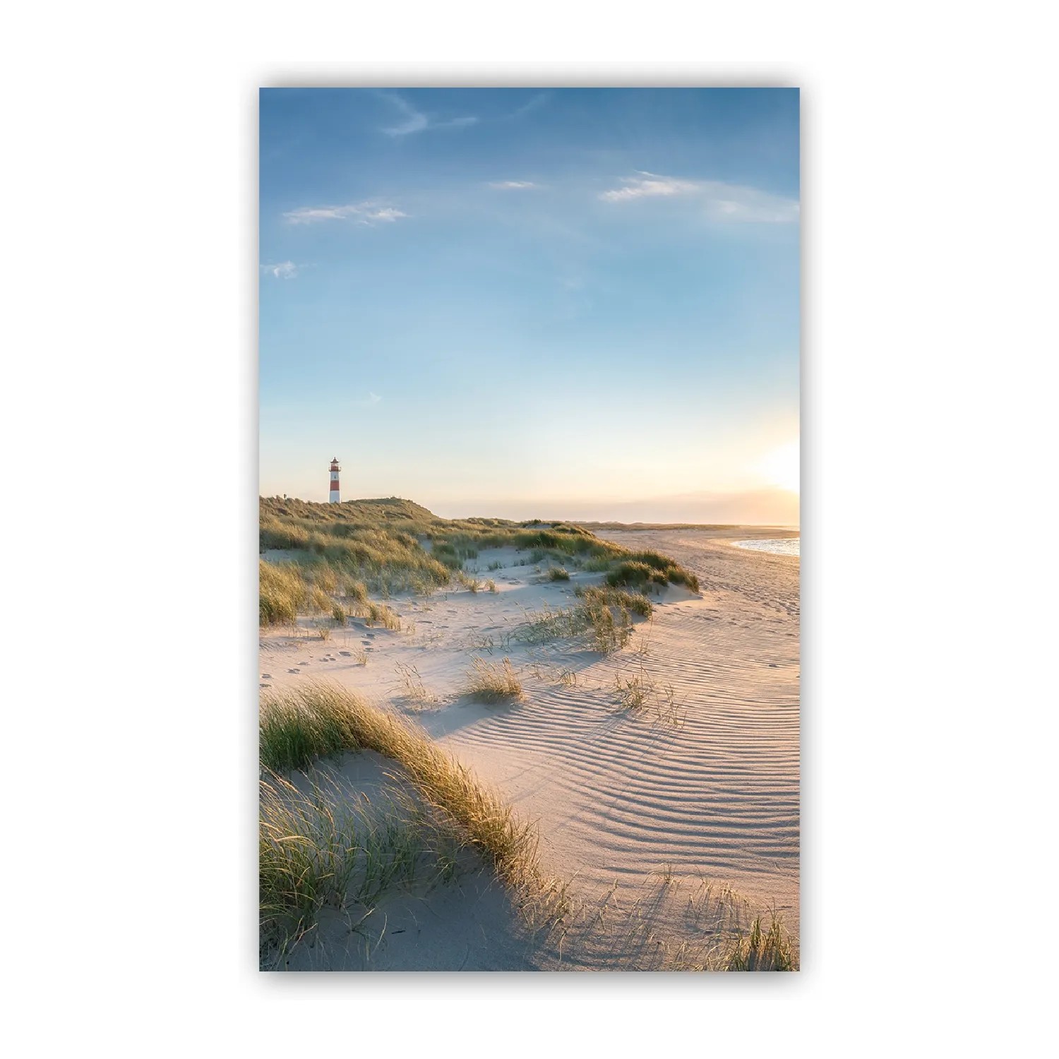 Walllux Duschrückwand Nordsee Alu-Verbund 3 mm 150 x 255 cm
